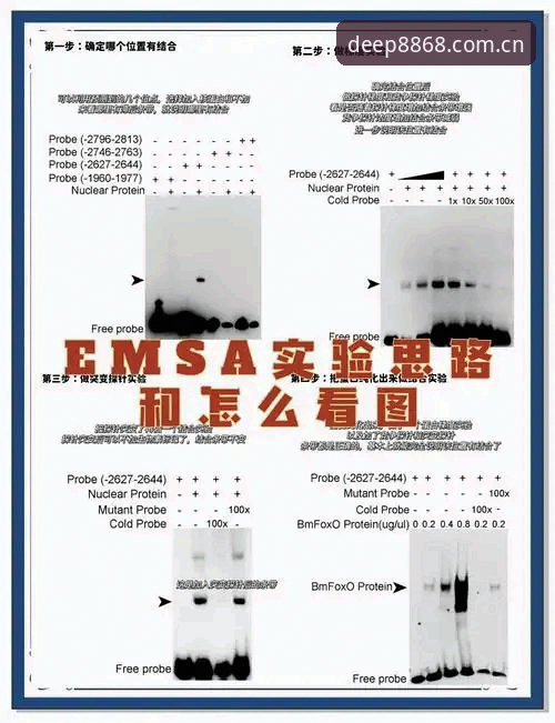 深值信赖MSCA数据更新安装失败？从症状到根治的完整排查指南